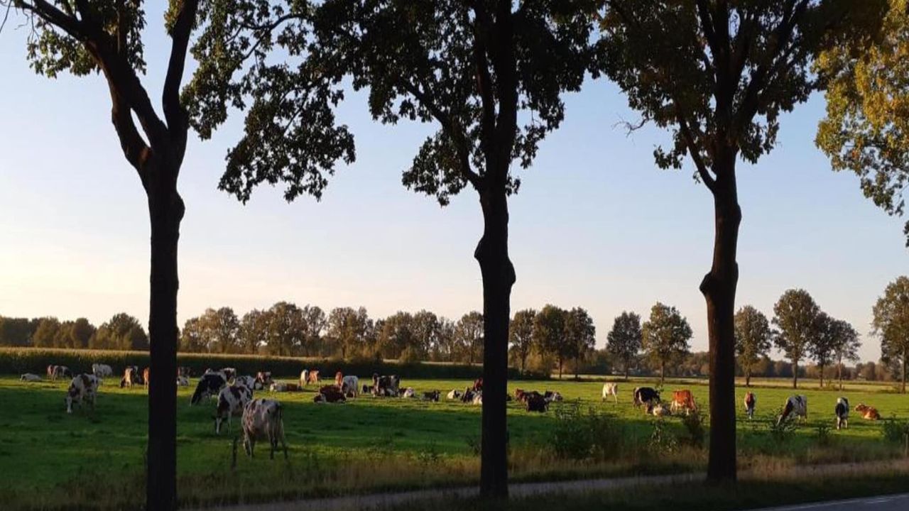 AreaSummer20KM AreaSummer20KM